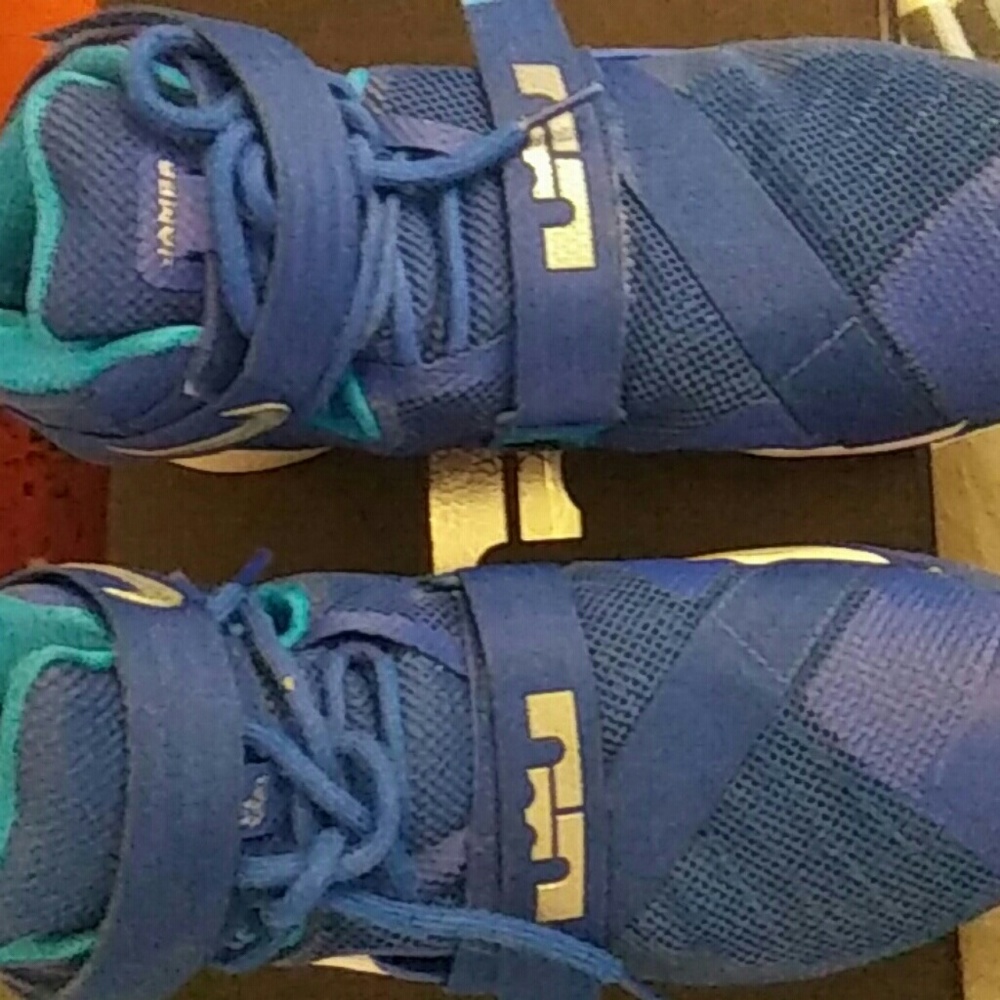 LeBron sneakers